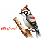 Bild: Fortbildungen